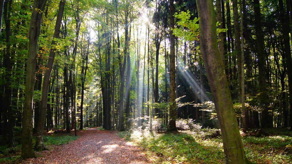 Landgasthof Hirschen Hohenems Exteriér fotografie